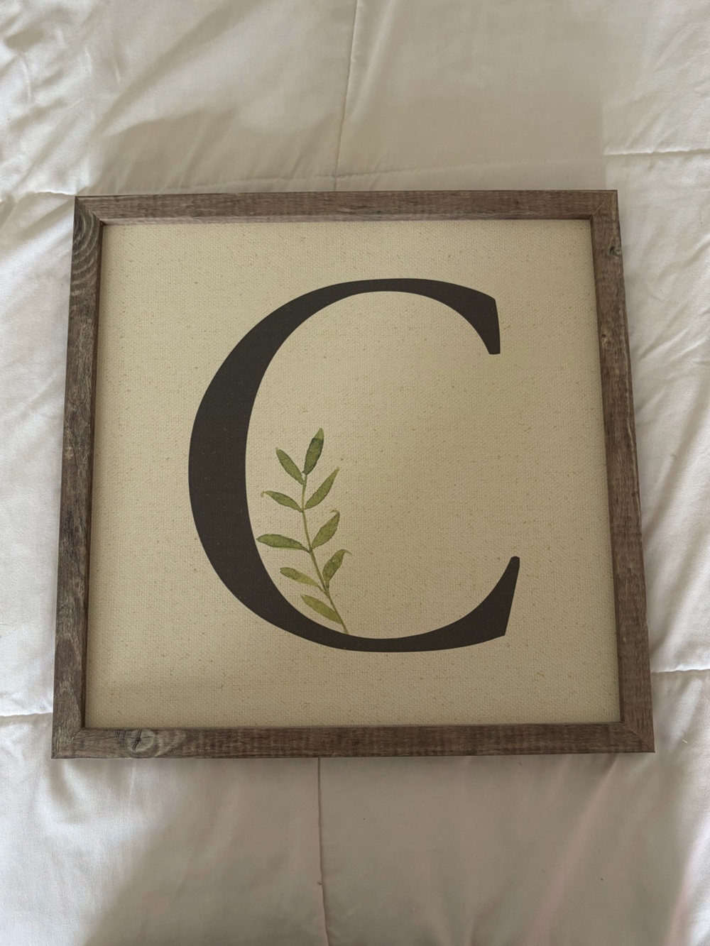 Framed Neutral Canvas Wall Art with Black Letter C and Green Leaf
